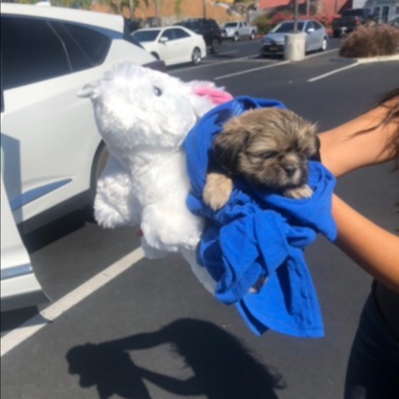 HUGE SALE IN PROGRESS.... 🤍🤍 - Picture 4 of 8